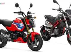Honda MSX125 Grom vs Benelli TNT 135: Mini Bike Fun dengan Karakter Berbeda Honda MSX125 Grom vs Benelli TNT 135