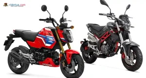 Honda MSX125 Grom vs Benelli TNT 135