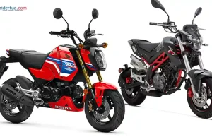 Honda MSX125 Grom vs Benelli TNT 135