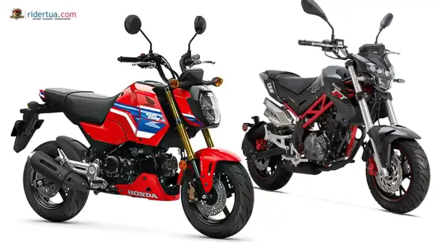 Honda MSX125 Grom vs Benelli TNT 135 Honda MSX125 Grom vs Benelli TNT 135