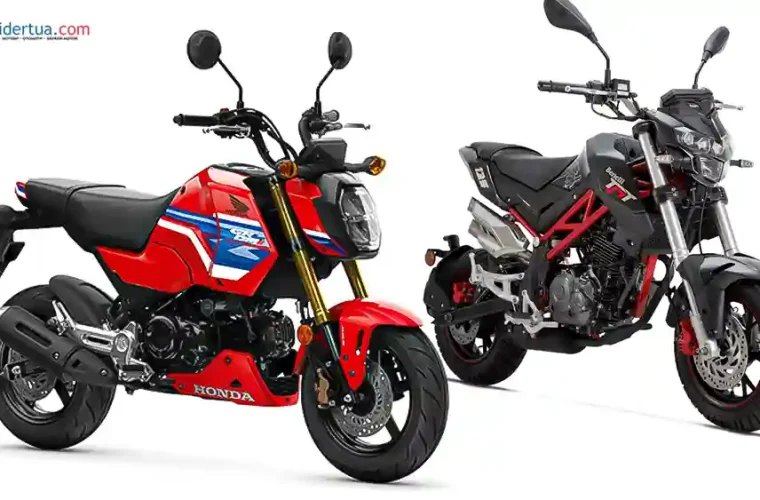 Honda MSX125 Grom vs Benelli TNT 135