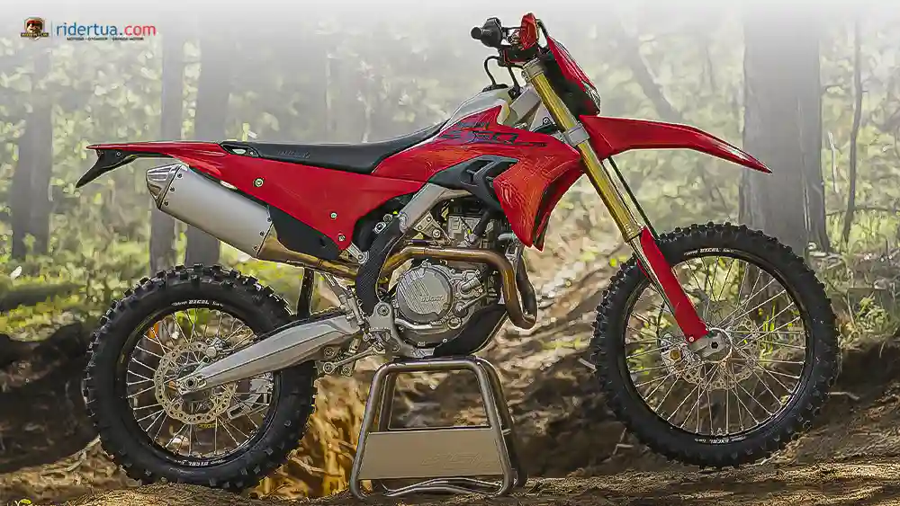 Motor Trail Jalan Raya Pertamanya! Ducati Desmo450 EDS 2027 Akhirnya Resmi Meluncur 3 Ducati, Desmo450 EDS, Ducati Desmo450 EDS, motor baru, motor trail, motor enduro