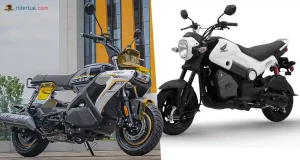 Zonsen Magic Cube Lite vs Honda Navi