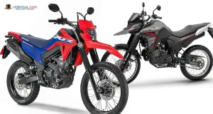 Honda XR300L Tornado vs Yamaha Lander 250